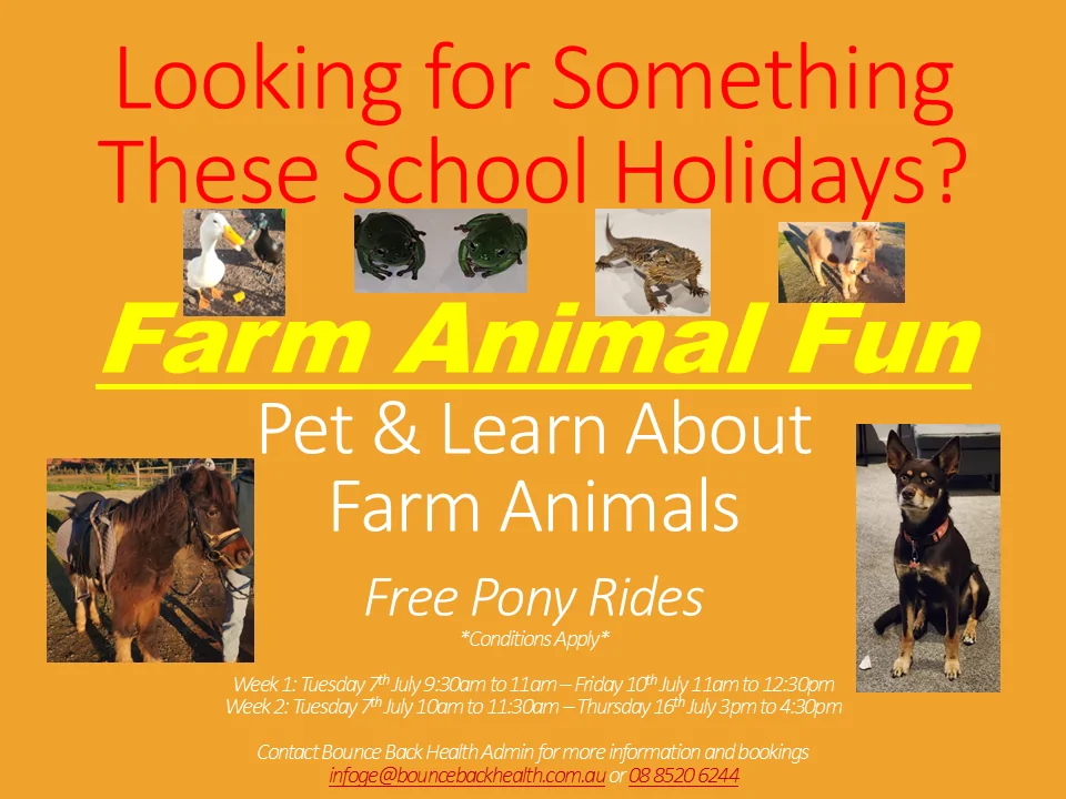 Holiday Animal Group